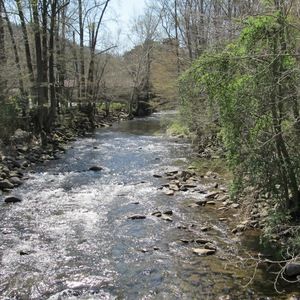 Meet your Posher, Charles